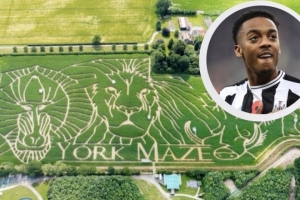 紐卡中場威洛克在迷宮迷路？埃迪-豪否認：謝天謝地，這不是真的