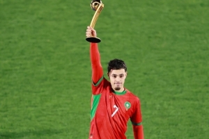 世青賽獎(jiǎng)項(xiàng)：瑪瑪金球、扎比里銀球、德?tīng)柤佣嚆~球，巴比金手套